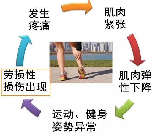 哪里可以找到适合青少年的篮球季前赛训练营_1